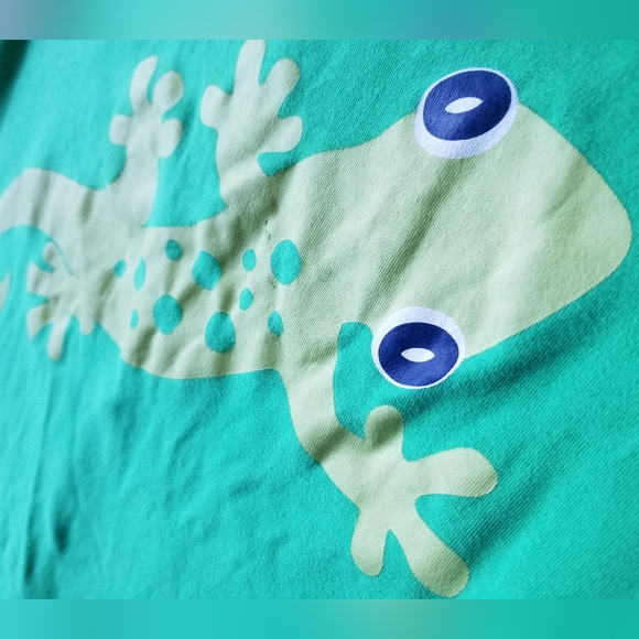 2009 vguc Hanna Andersson size 90 3T green lizard romper - Picture 11 of 12